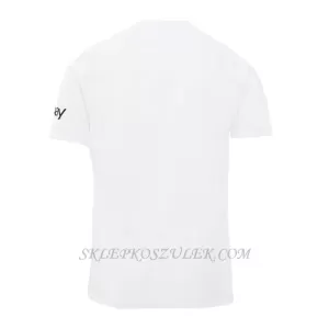 Koszulka Piłkarska Inter Mediolan x Ninja Turtles Męska Wyjazdowa 2023/24 (Specjalny)