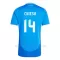 Koszulka Piłkarska Włochy Federico Chiesa 14 Męska Domowa Euro 2024