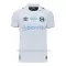 Koszulka Piłkarska Grêmio Męska Wyjazdowa 2024/25