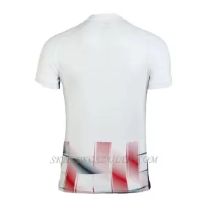 Koszulka Piłkarska San Lorenzo Męska Wyjazdowa 2024/25