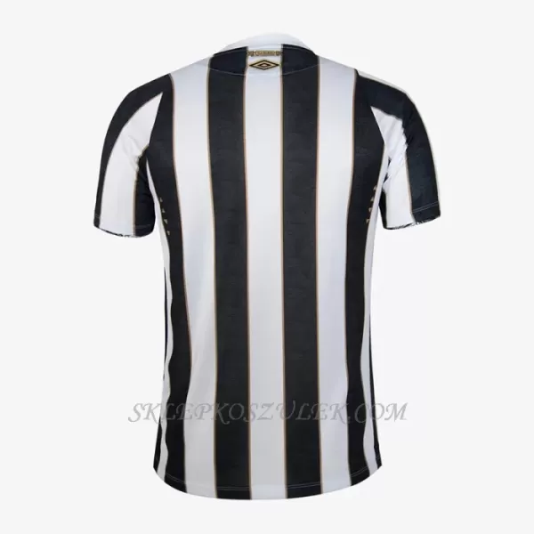 Koszulka Piłkarska Santos FC Męska Wyjazdowa 2024/25