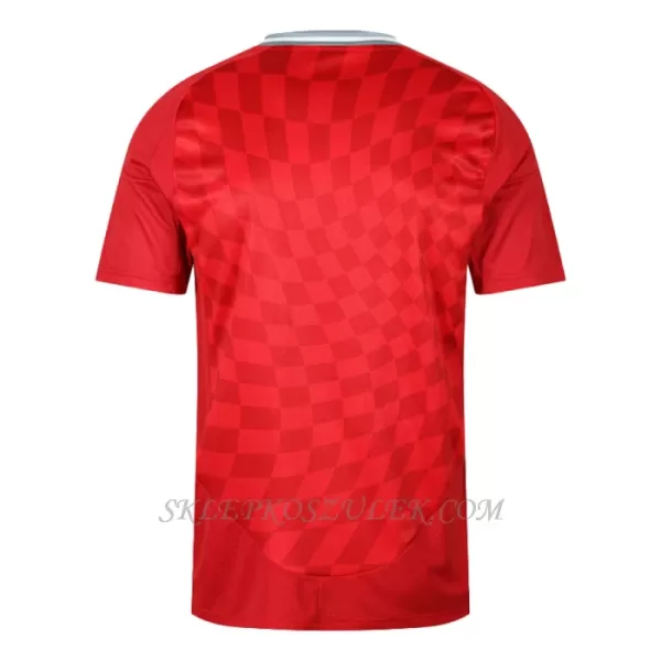 Koszulka Piłkarska Aberdeen Męska Domowa 2024/25