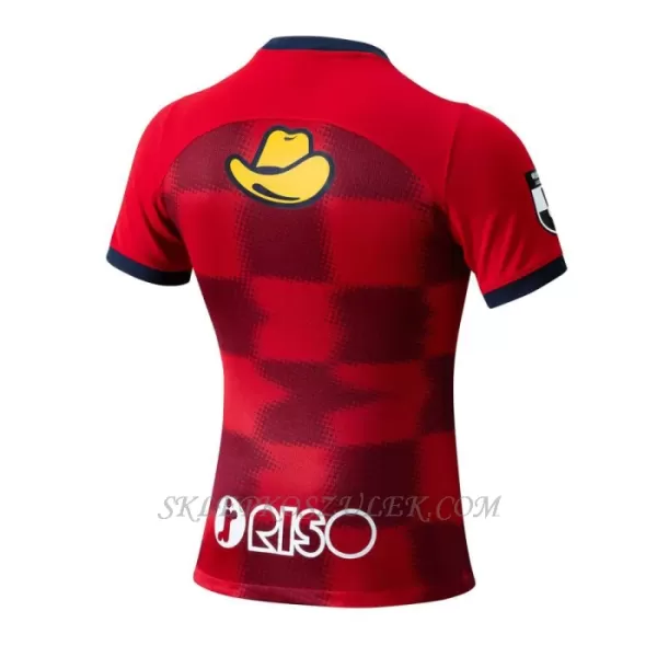 Koszulka Piłkarska Kashima Antlers Męska Domowa 2024/25