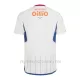 Koszulka Piłkarska Yokohama F. Marinos Męska Wyjazdowa 2024/25