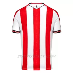 Koszulka Piłkarska Stoke City Męska Domowa 2024/25