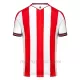 Koszulka Piłkarska Stoke City Męska Domowa 2024/25