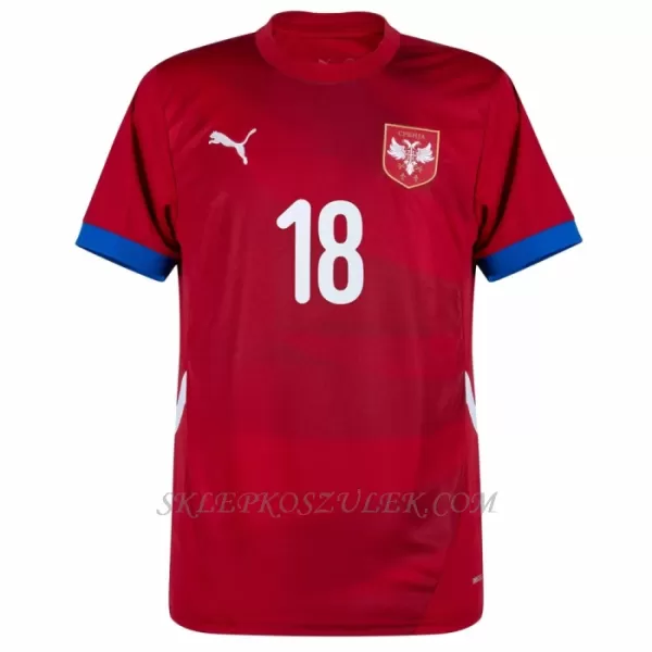 Koszulka Piłkarska Serbia Dušan Vlahovic 18 Męska Domowa Euro 2024