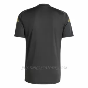 Koszulka Piłkarska Argentyna Pre-Match 3 Stars Męska 2024