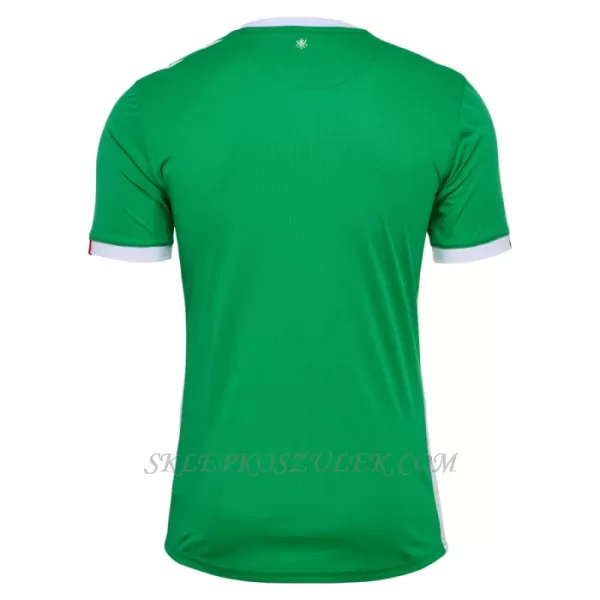 Koszulka Piłkarska AS Saint-Étienne Męska Domowa 2024/25
