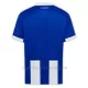 Koszulka Piłkarska Hertha BSC Męska Domowa 2024/25