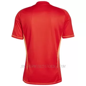 Koszulka Piłkarska Bramkarska Juventus Męska Domowa 2024/25