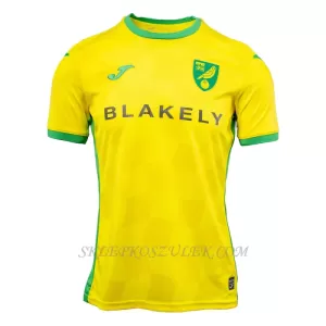 Koszulka Piłkarska Norwich City Męska Domowa 2024/25