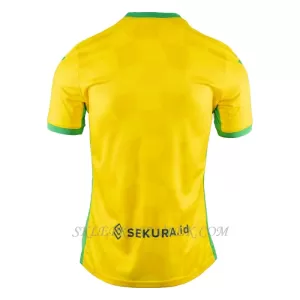 Koszulka Piłkarska Norwich City Męska Domowa 2024/25