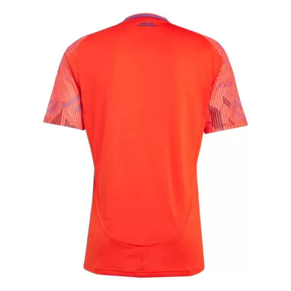 Koszulka Piłkarska Universidad de Chile Męska Wyjazdowa 2025/26