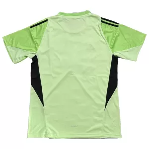 Koszulka Piłkarska Bramkarska Newcastle United Męska 2025/26