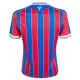 Koszulka Piłkarska Crystal Palace Męska Domowa 2025/26