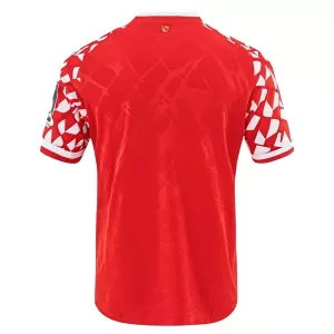 Koszulka Piłkarska FSV Mainz 05 Męska Domowa 2025/26