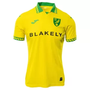 Koszulka Piłkarska Norwich City Męska Domowa 2025/26