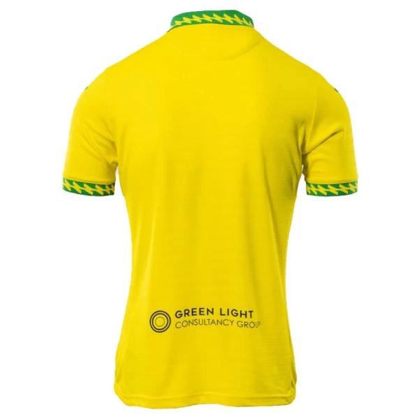 Koszulka Piłkarska Norwich City Męska Domowa 2025/26