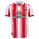 Koszulka Piłkarska Southampton Męska Domowa 2025/26