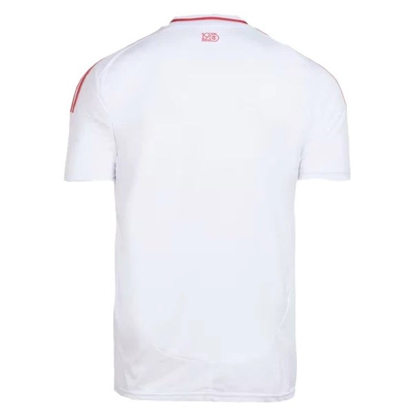Koszulka Piłkarska Internacional Męska Wyjazdowa 2025/26