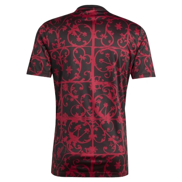 Koszulka Piłkarska Liverpool Pre-Match Męska 2025/26