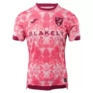 Koszulka Piłkarska Norwich City Męska Alternatywna 2025/26