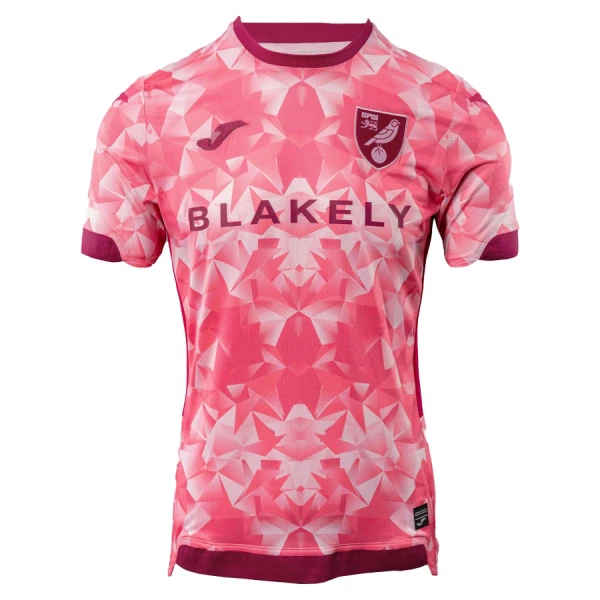 Koszulka Piłkarska Norwich City Męska Alternatywna 2025/26