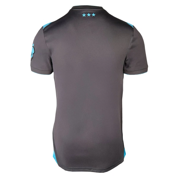 Koszulka Piłkarska Ipswich Town Męska Alternatywna 2025/26