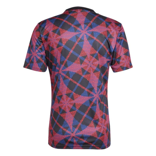 Koszulka Piłkarska Olympique Lyon Pre-Match Męska 2025/26