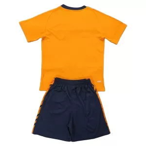 Koszulka Piłkarska Cardiff City Dziecięca Alternatywna 2025/26