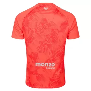 Koszulka Piłkarska Coventry City Męska Wyjazdowa 2025/26