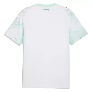 Koszulka Piłkarska Austria Męska Wyjazdowa Mistrzostwa Świata 2026