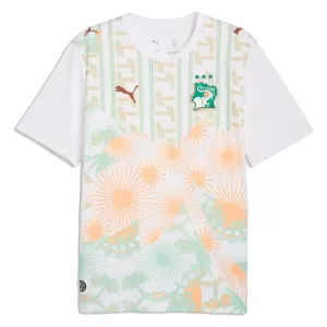 Koszulka Piłkarska Wybrzeże Kości Słoniowej Męska Wyjazdowa Mistrzostwa Świata 2026