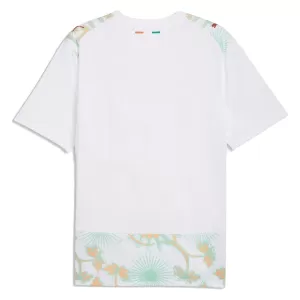 Koszulka Piłkarska Wybrzeże Kości Słoniowej Męska Wyjazdowa Mistrzostwa Świata 2026