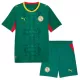 Koszulka Piłkarska Senegal Dziecięca Wyjazdowa Mistrzostwa Świata 2026
