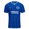 Koszulka Piłkarska Brighton Hove Albion Męska Domowa 2026/27