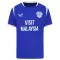 Koszulka Piłkarska Cardiff City Męska Domowa 2026/27