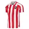 Koszulka Piłkarska Sunderland Męska Domowa 2026/27