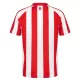 Koszulka Piłkarska Sunderland Męska Domowa 2026/27