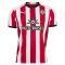 Koszulka Piłkarska Southampton Męska Domowa 2026/27