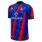 Koszulka Piłkarska Crystal Palace Męska Alternatywna 2026/27