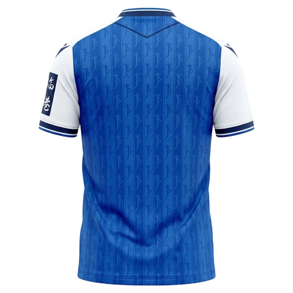 Koszulka Piłkarska TSG 1899 Hoffenheim Męska Domowa 2026/27