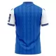 Koszulka Piłkarska TSG 1899 Hoffenheim Męska Domowa 2026/27